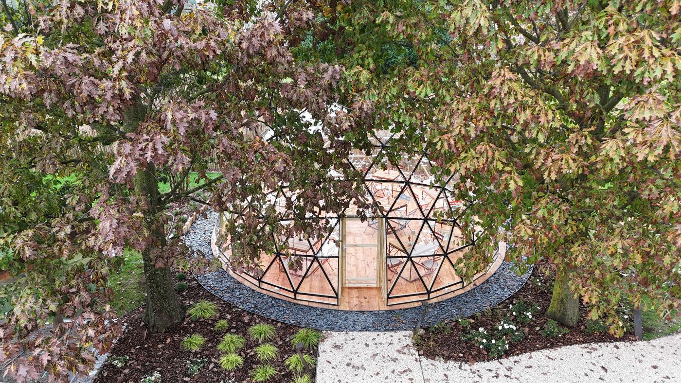 Aerial view of a glazed Wilder dome set among autumn trees in a Venice garden