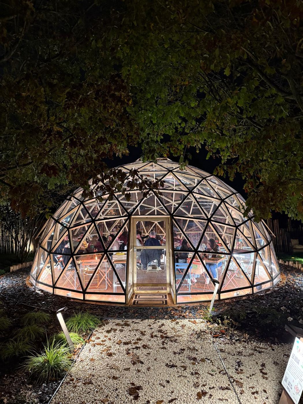 The dome glowing at night through the leaves